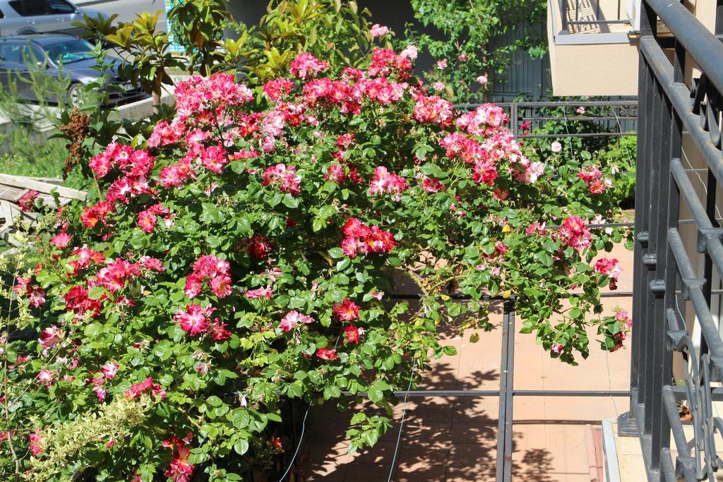 Flowers Apartments Νεσέμπαρ Εξωτερικό φωτογραφία